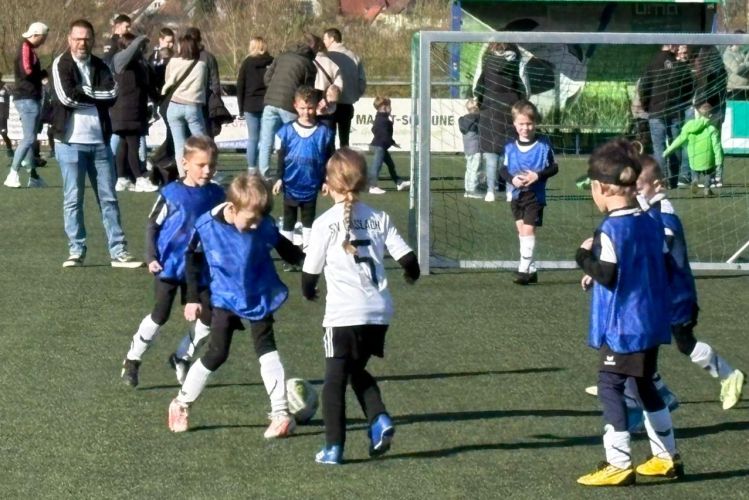 Bild 3.JPG